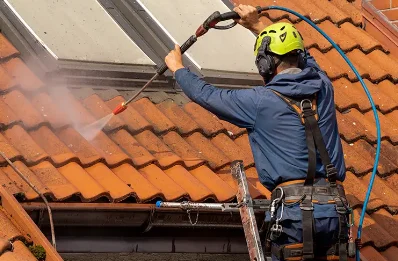 Démoussage et hydrofuge de toiture à Veuil